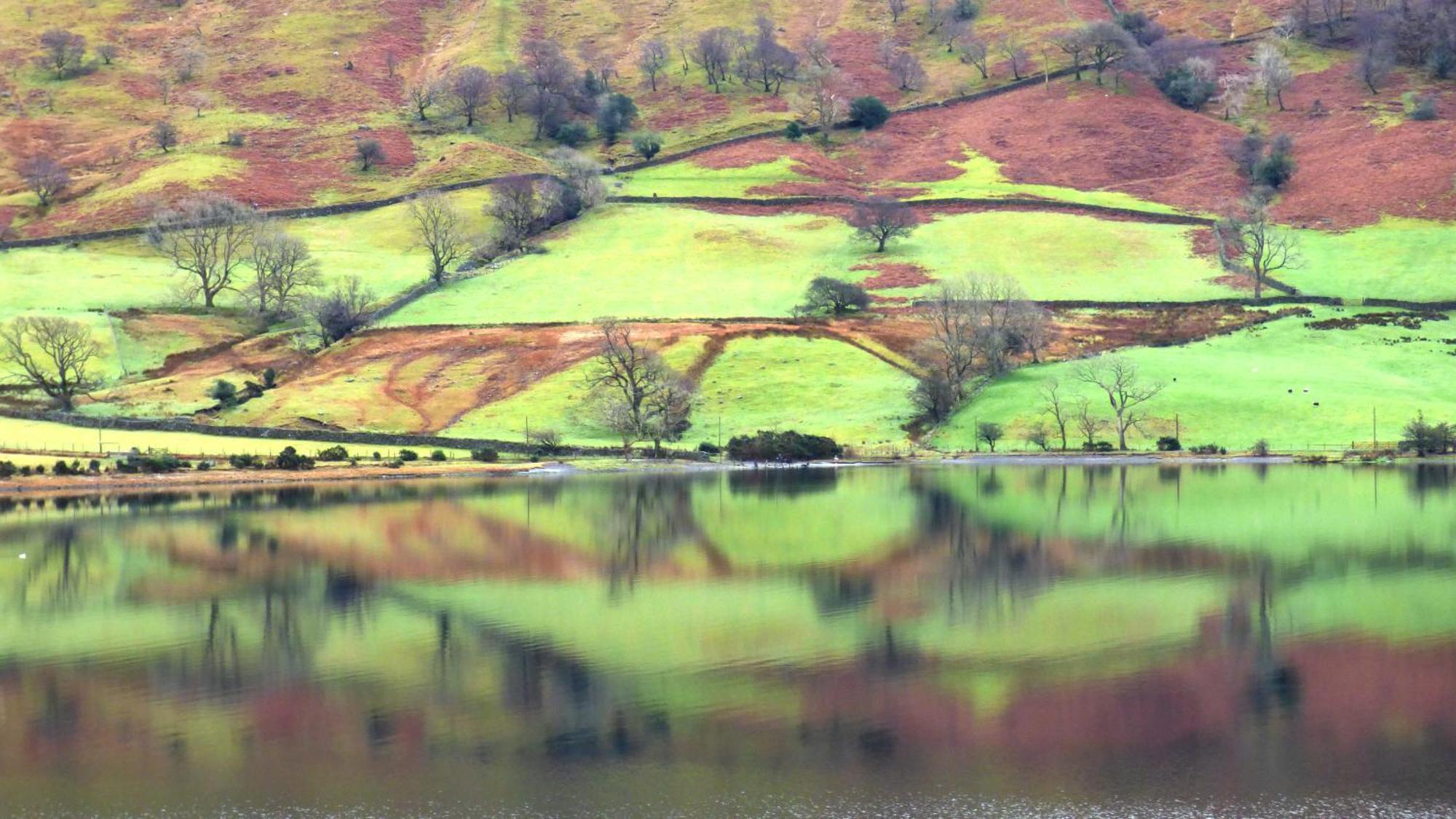 Renovated 5 Bedroom Farmhouse In Picturesque Eskdale, Lake District Exteriör bild