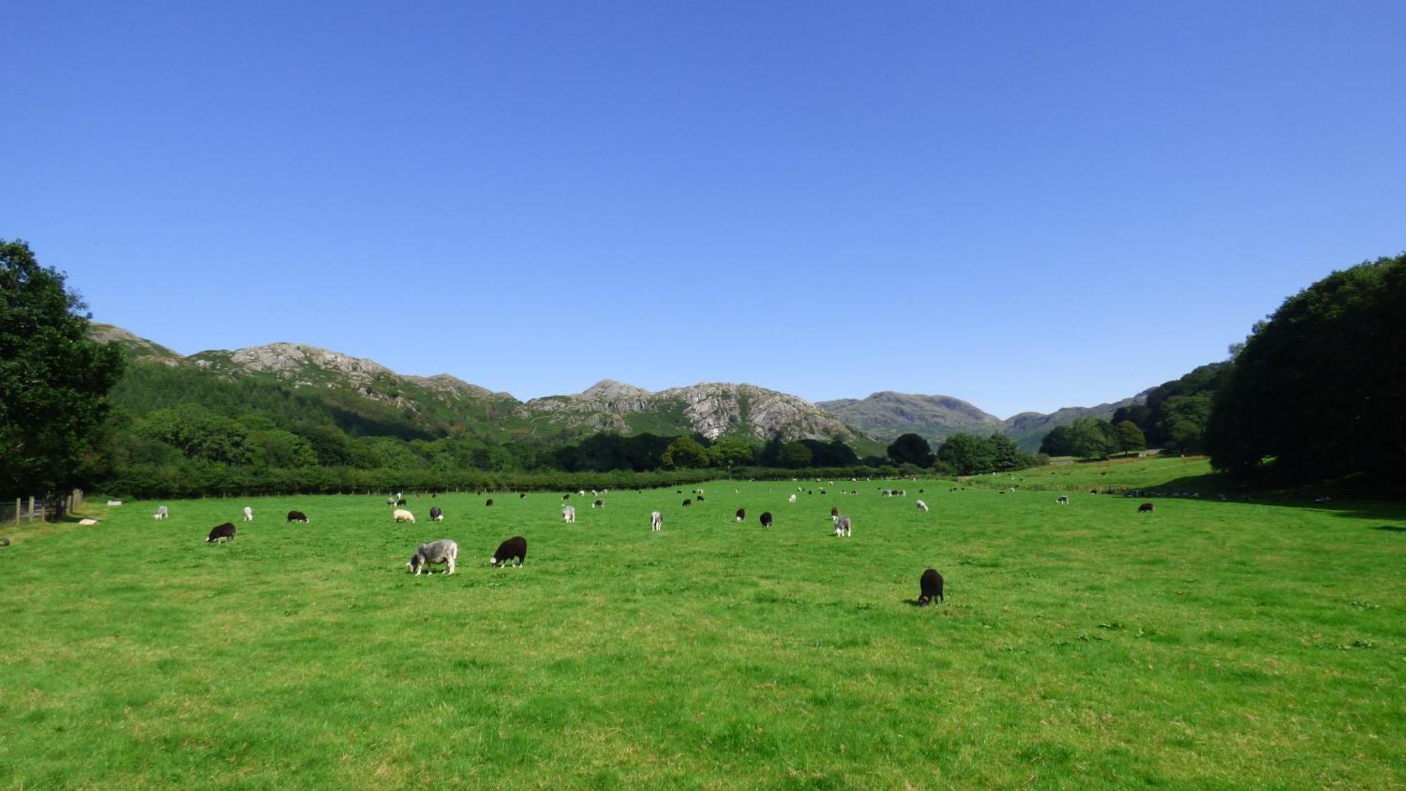 Renovated 5 Bedroom Farmhouse In Picturesque Eskdale, Lake District Exteriör bild