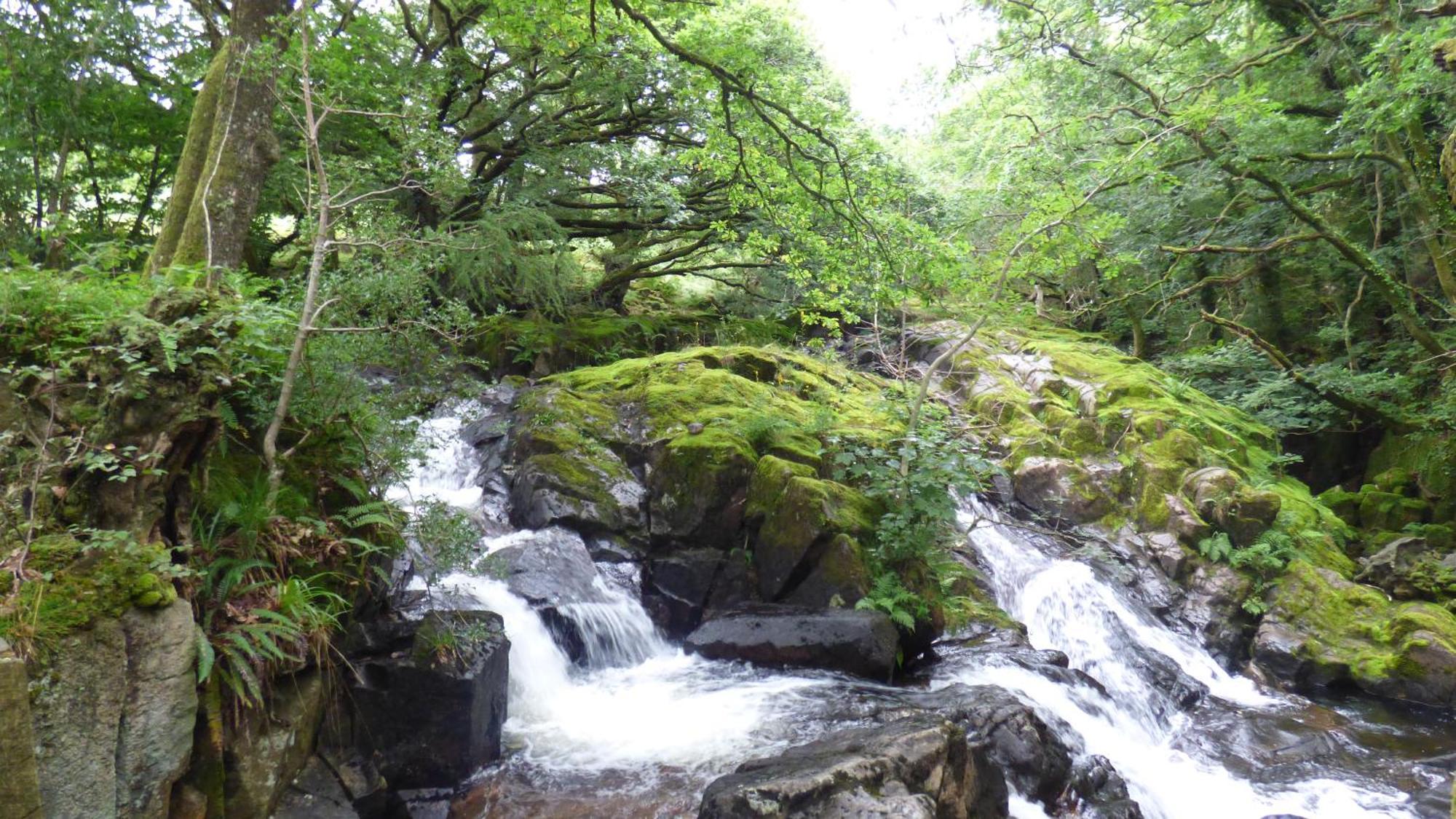 Renovated 5 Bedroom Farmhouse In Picturesque Eskdale, Lake District Exteriör bild
