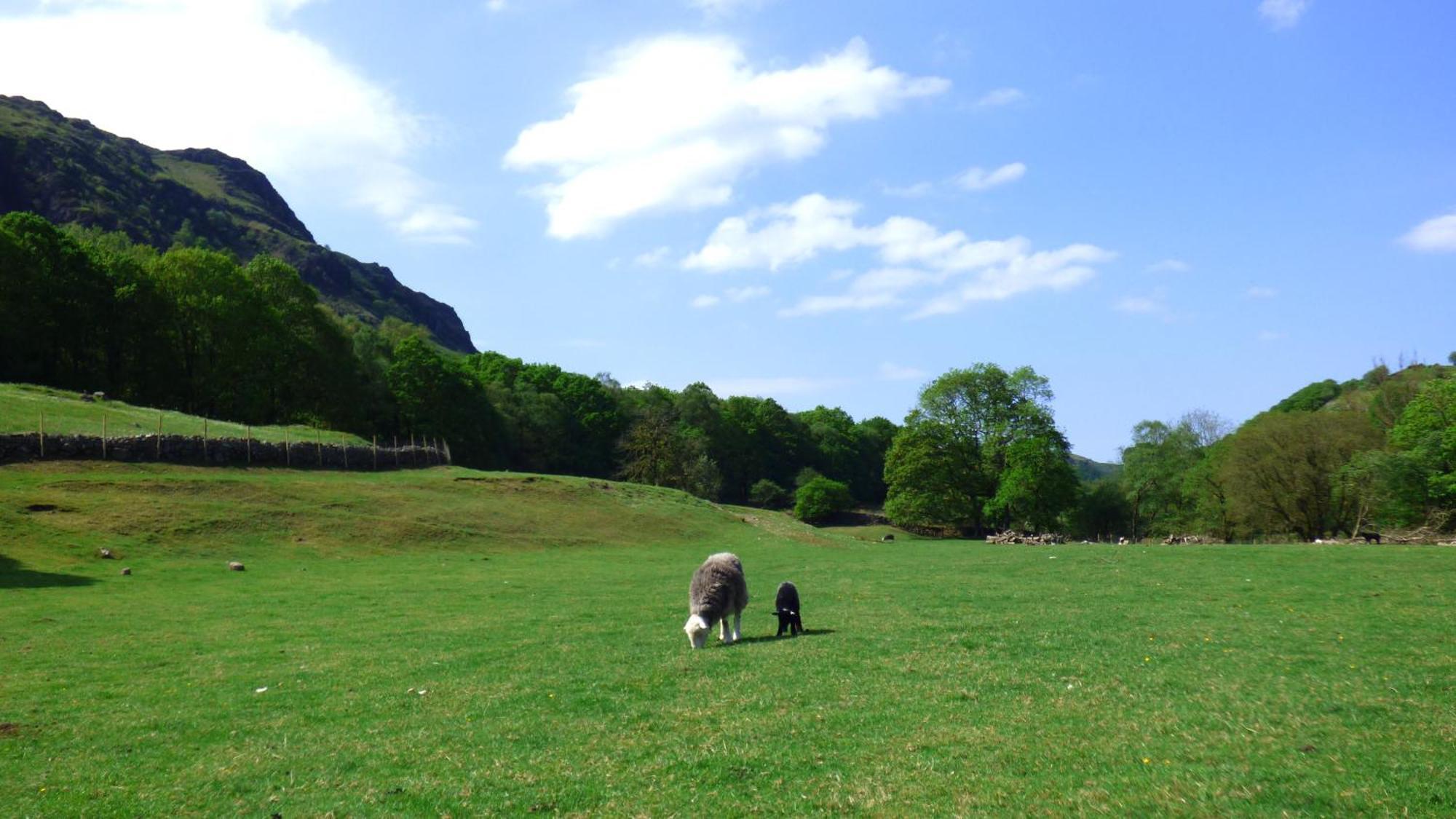 Renovated 5 Bedroom Farmhouse In Picturesque Eskdale, Lake District Exteriör bild
